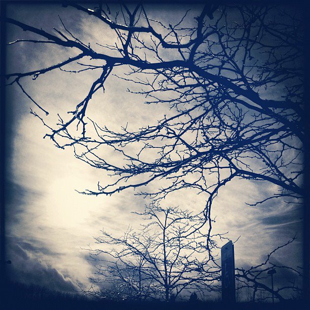 227414_4517665973411_1277740600_n (1)