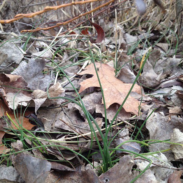 207638_4725735135010_350567691_n