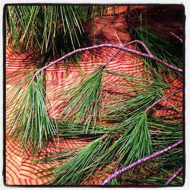 397661_4726272268438_1893286331_n