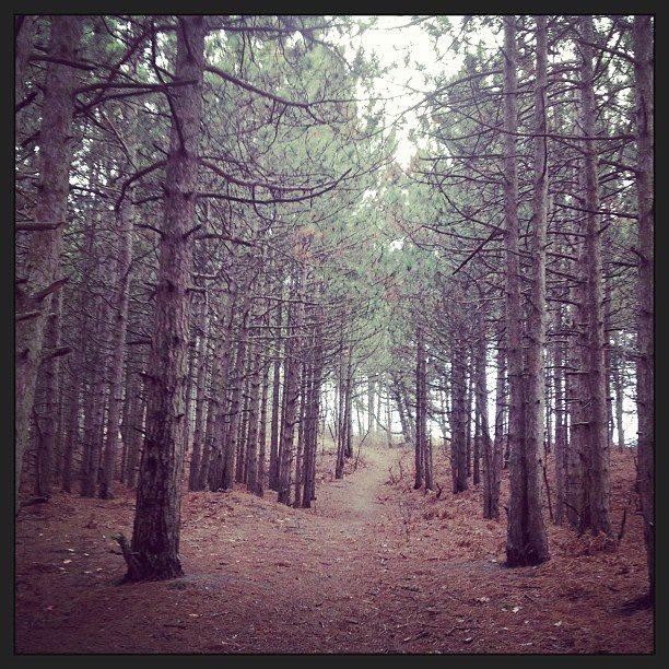 553141_4692635667544_877549612_n