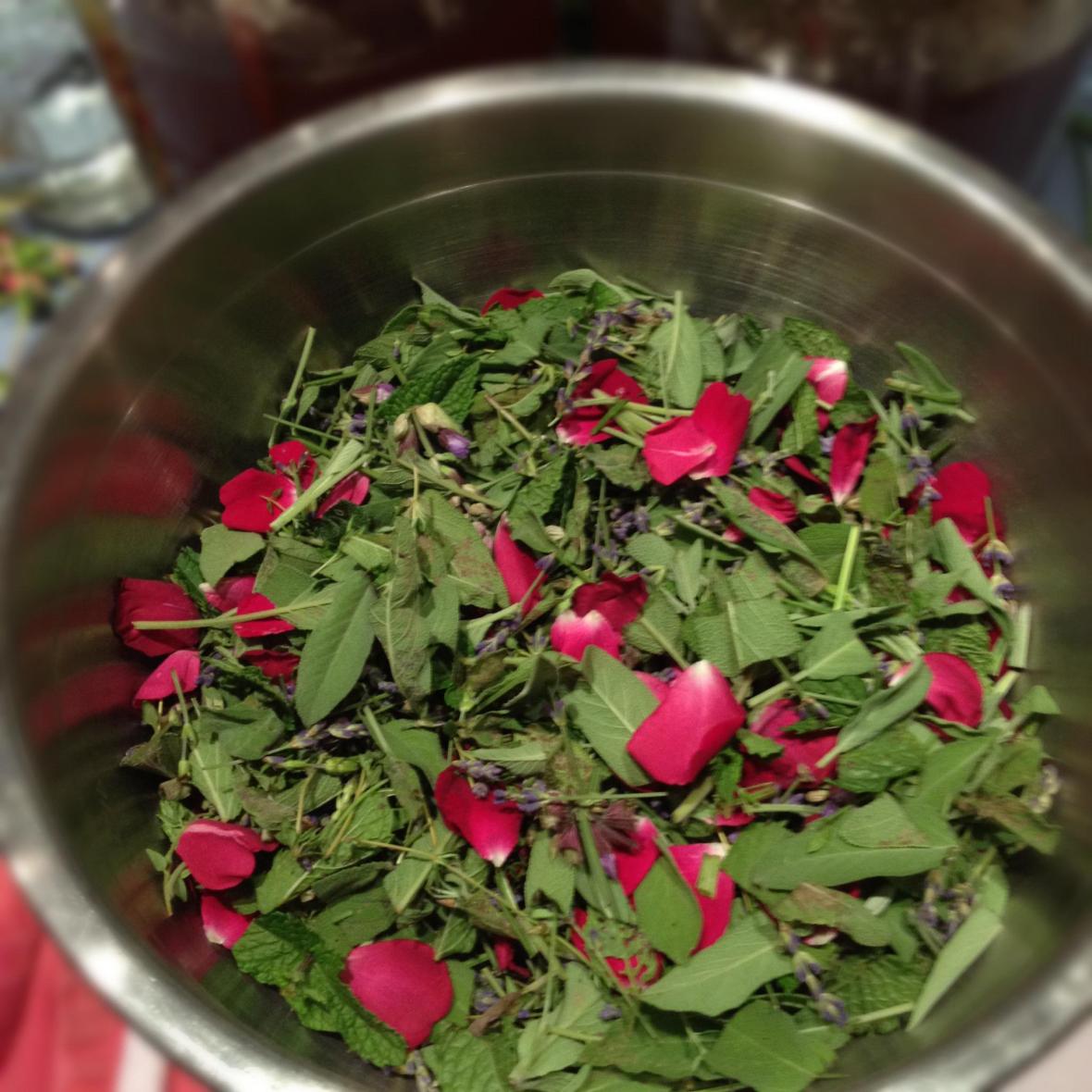 464345_366131443441713_216997261_o