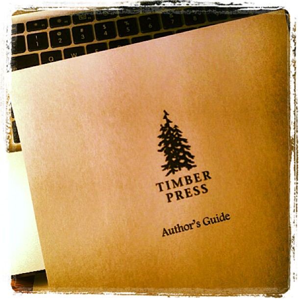 1000389_10200788406126173_1263620091_n