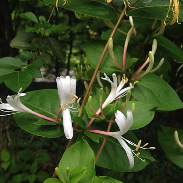 972155_10200711493083395_1919475325_n