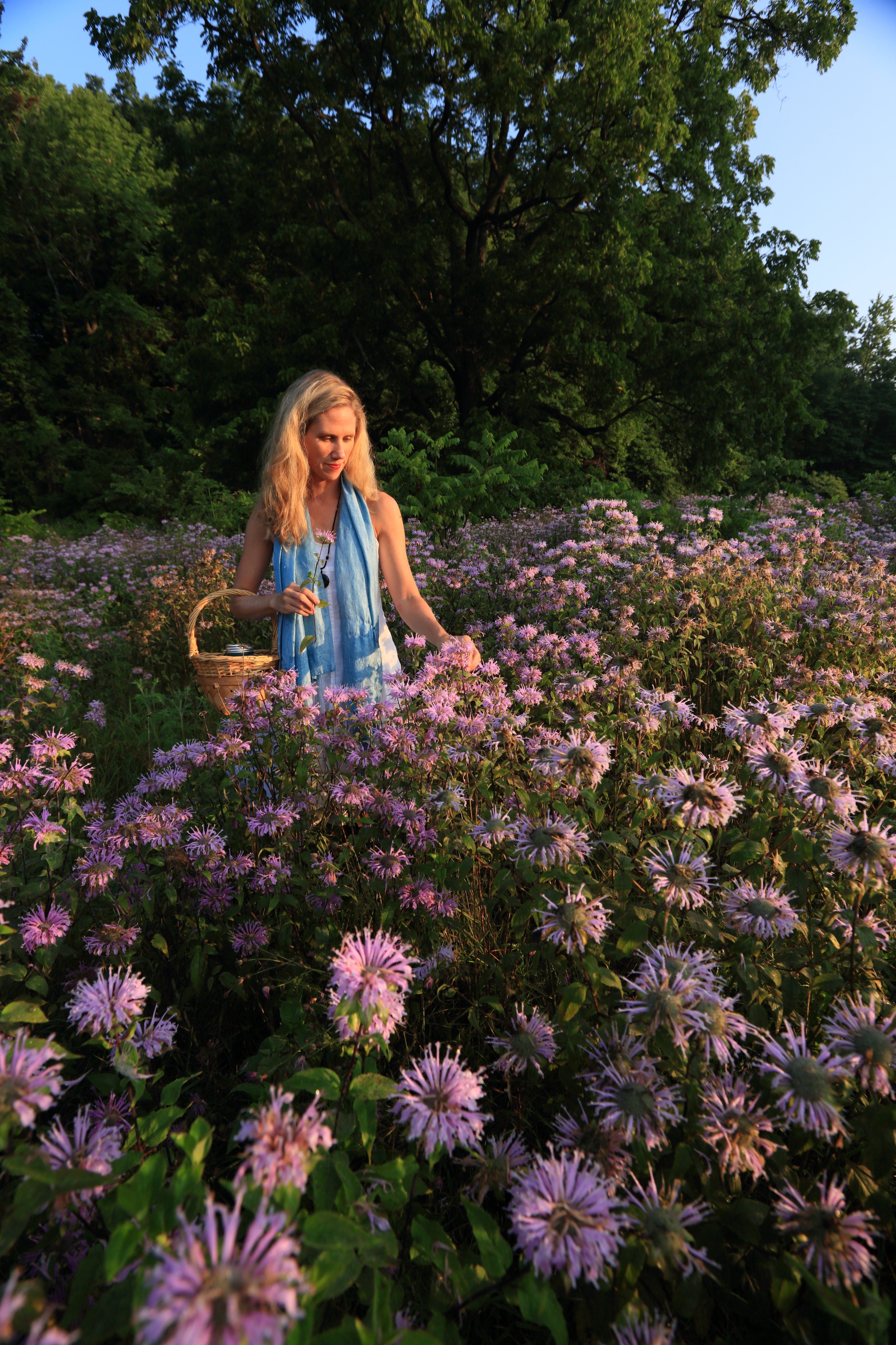 Lisa M. Rose in a field of wildflowers in Millineum Park.