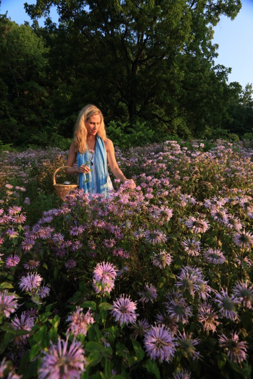 Lisa M. Rose in a field of wildflowers in Millineum Park.