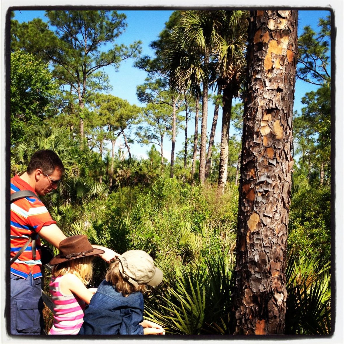 462046_327868367268021_1850598658_o