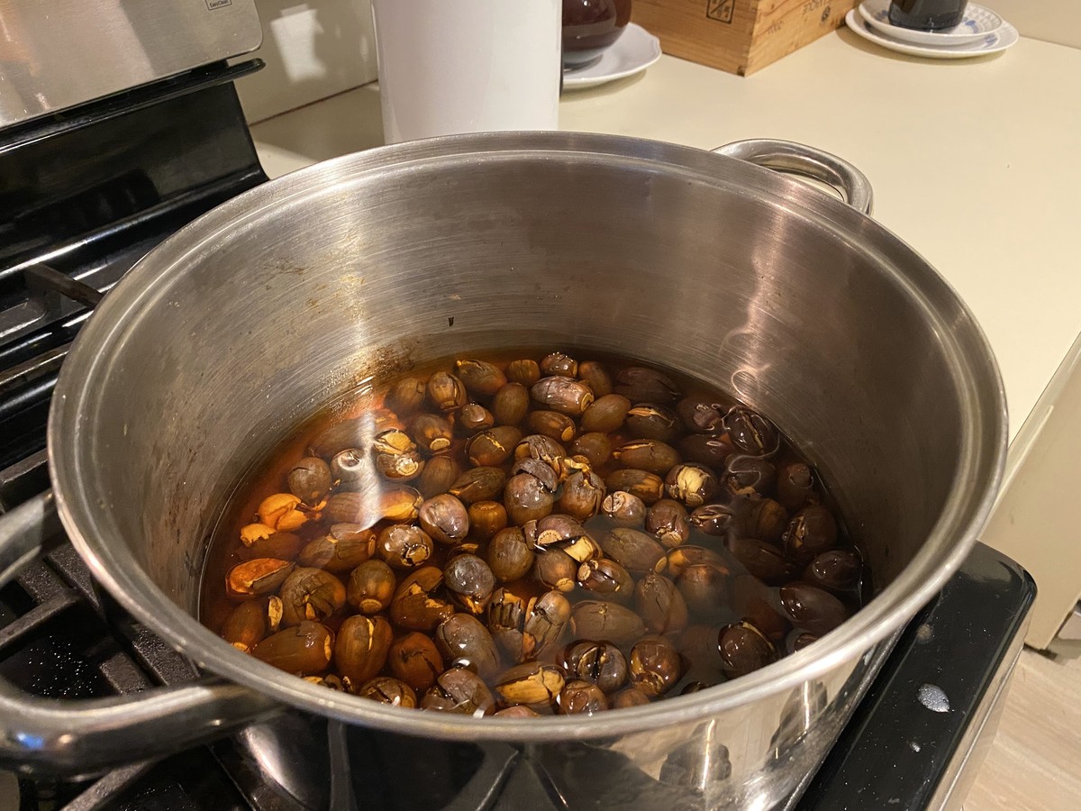 Shelled acorns leaching in a pot of brown water on the stove