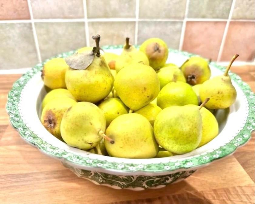 A green-and-white bowl filled with small wild pears